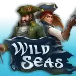 Wild Seas Logo